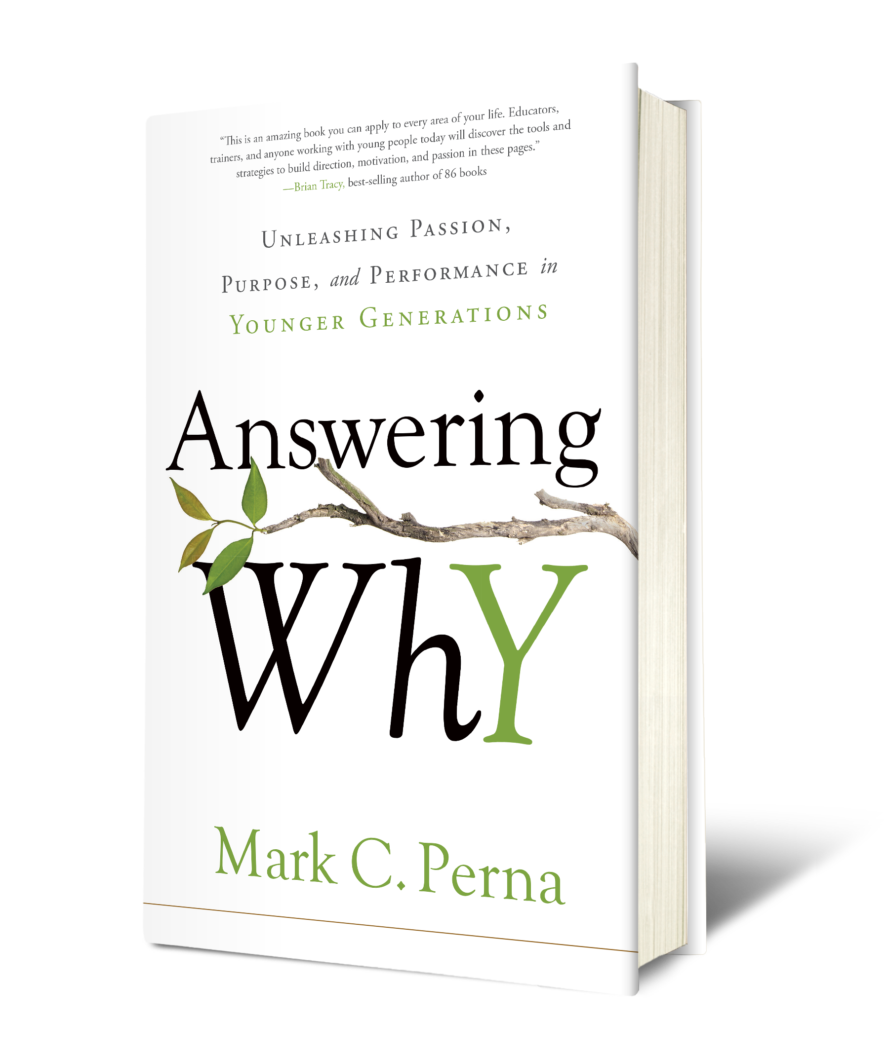 Answering Why: Unleashing Passion, Purpose, and Performance in Younger Generationsby Mark Perna