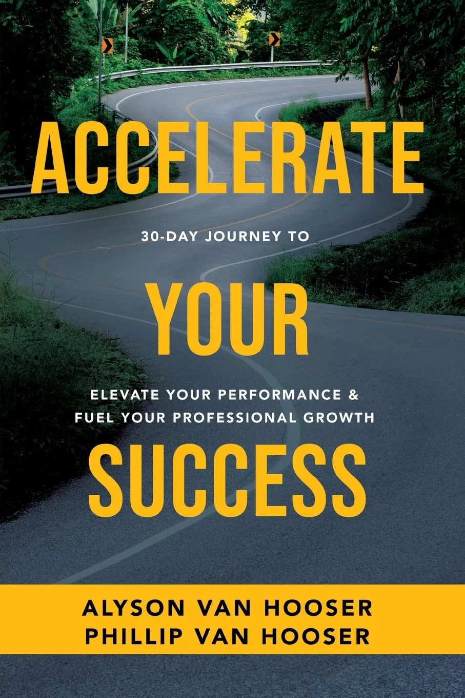 Accelerate Your Success: 30-Day Journey to Elevate Your Performance & Fuel Your Professional Growthby Alyson Van Hooser CSP