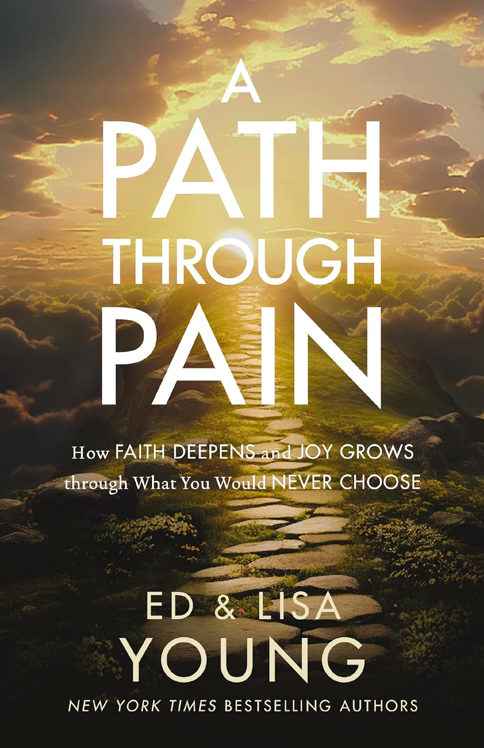 A Path through Pain: How Faith Deepens and Joy Grows through What You Would Never Chooseby Ed Young