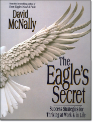 The Eagle's Secret by David McNally The Eagle's Secret by David McNally
